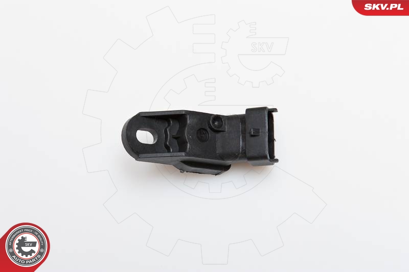 SKV 17SKV110