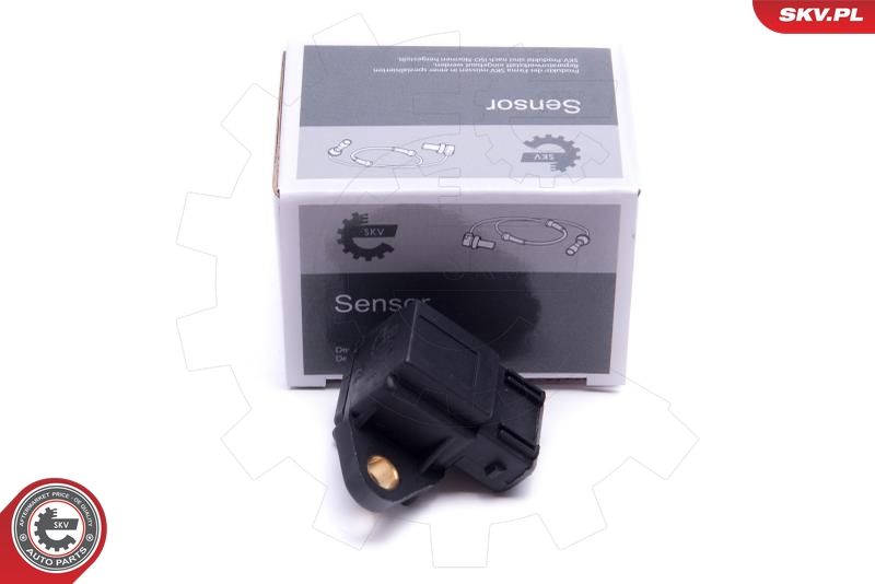 SKV 17SKV145