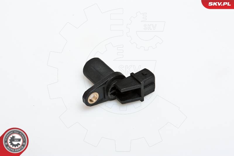 SKV 17SKV203