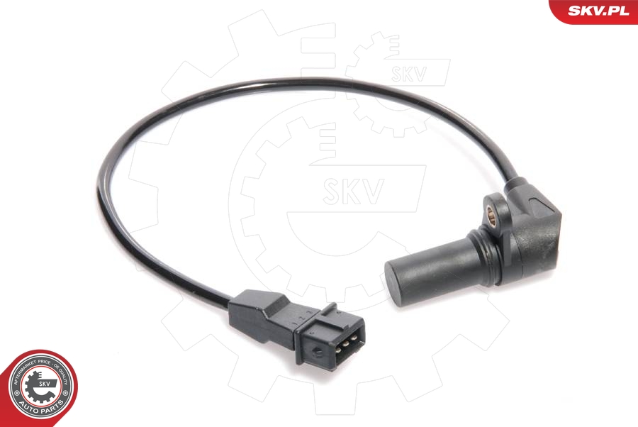 SKV 17SKV219