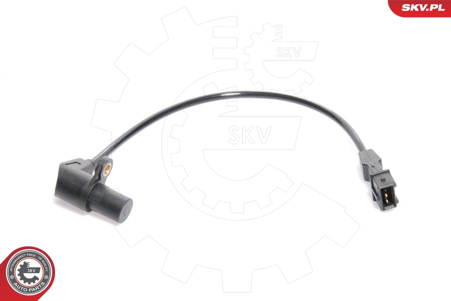 SKV 17SKV220
