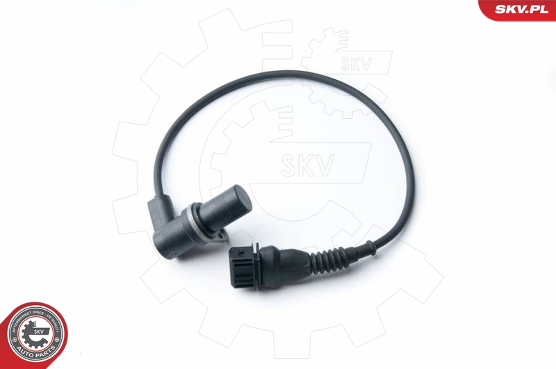 SKV 17SKV239