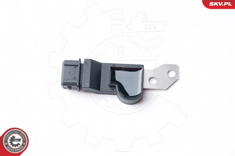 SKV 17SKV250