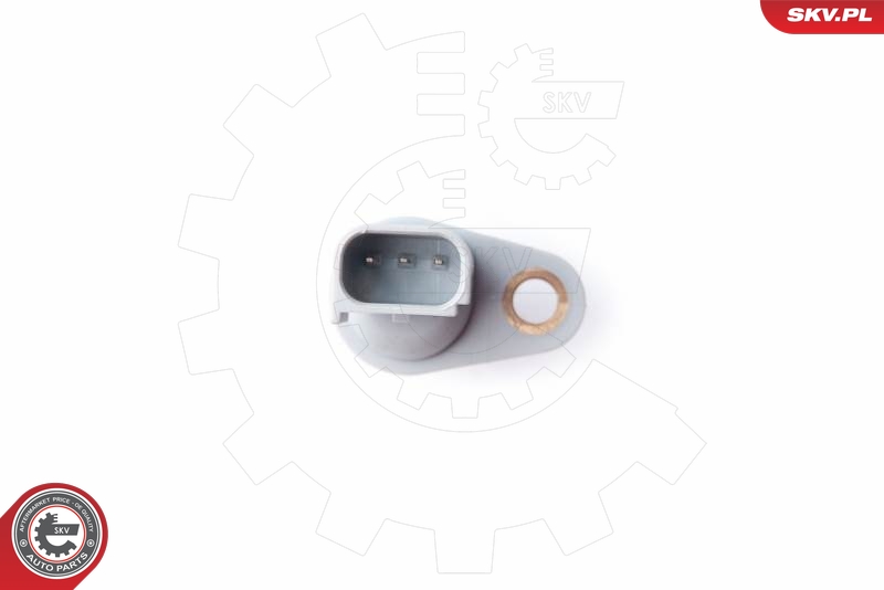 SKV 17SKV260