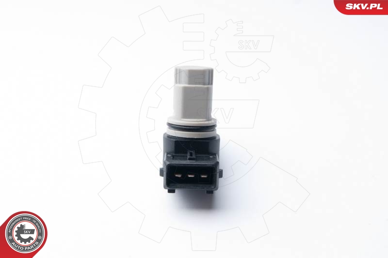 SKV 17SKV261