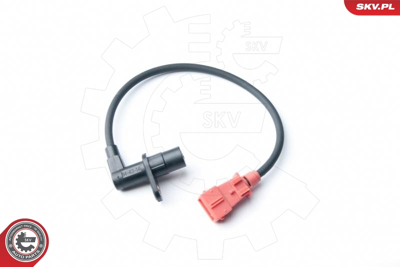 SKV 17SKV306