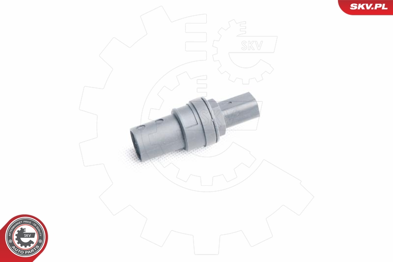 SKV 17SKV356