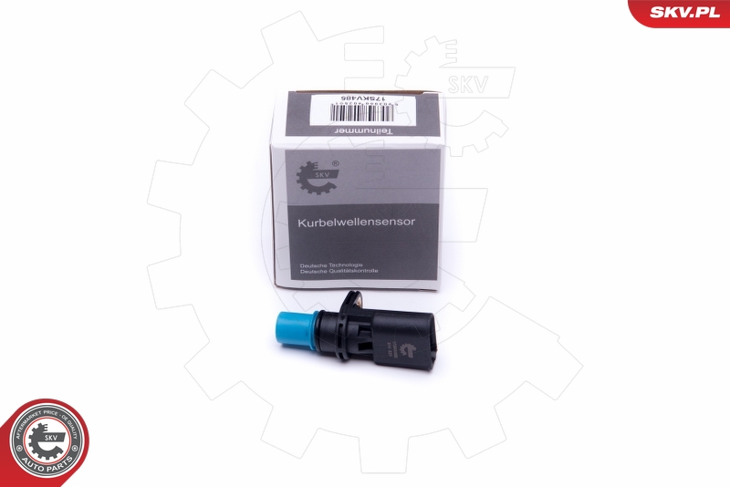 SKV 17SKV485