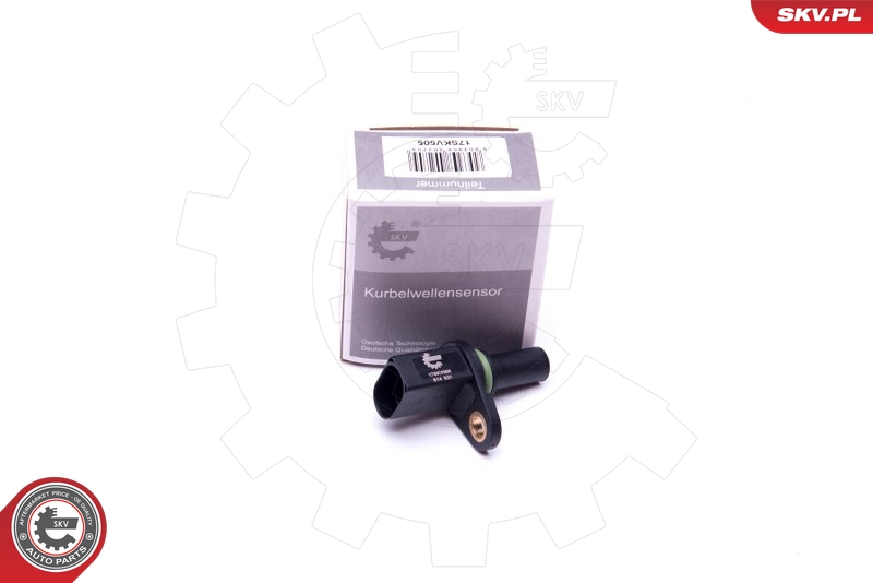 SKV 17SKV505
