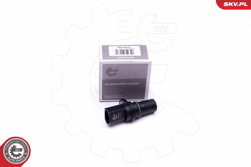 SKV 17SKV508