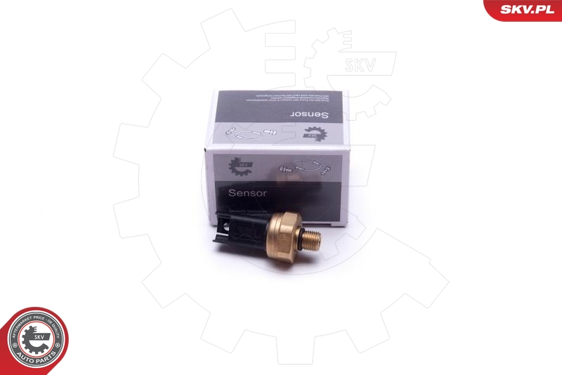 SKV 17SKV620