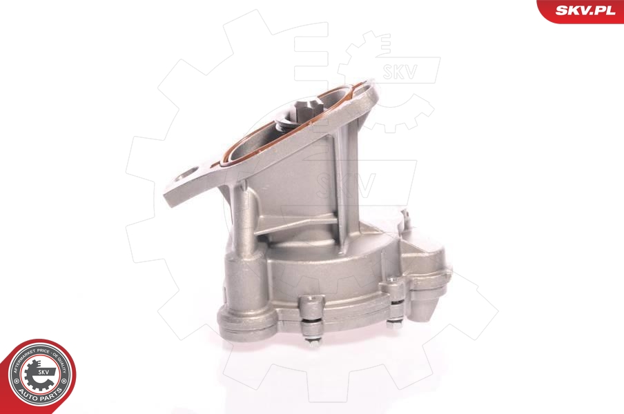 SKV 18SKV006