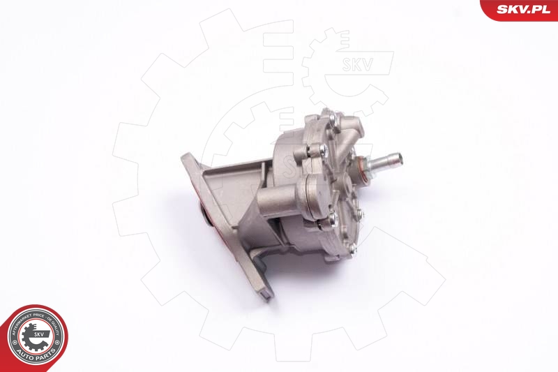SKV 18SKV013