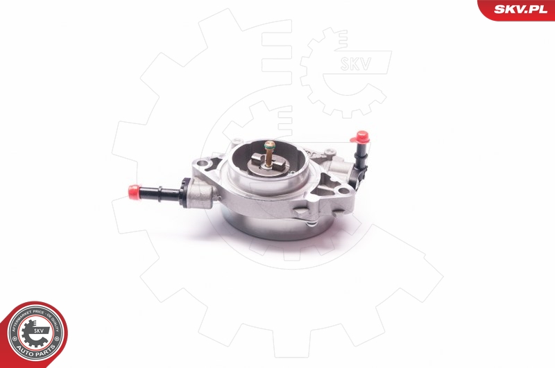 SKV 18SKV021