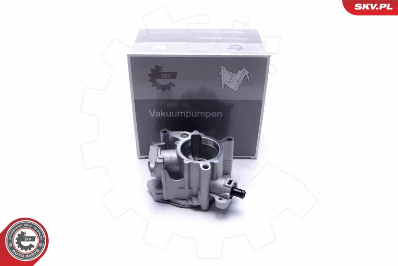 SKV 18SKV039