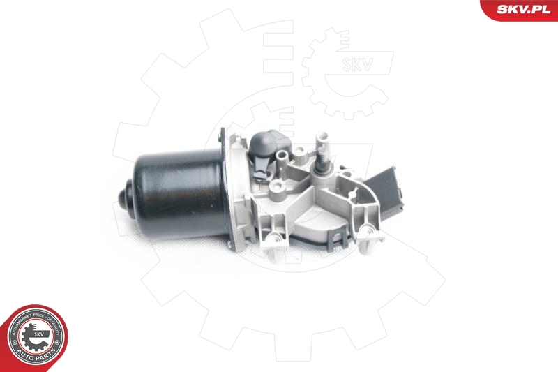 SKV 19SKV018
