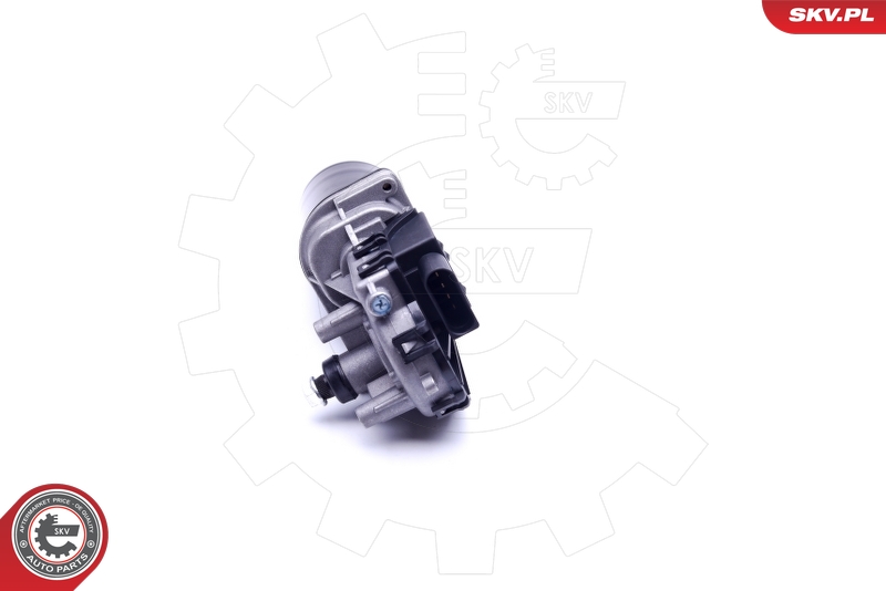 SKV 19SKV021