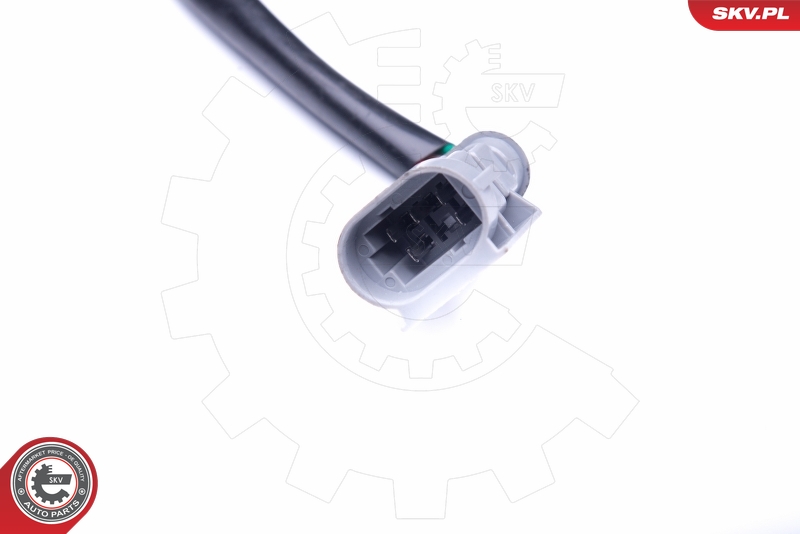 SKV 19SKV047