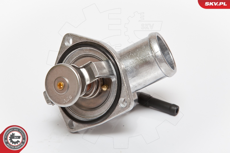 SKV 20SKV005