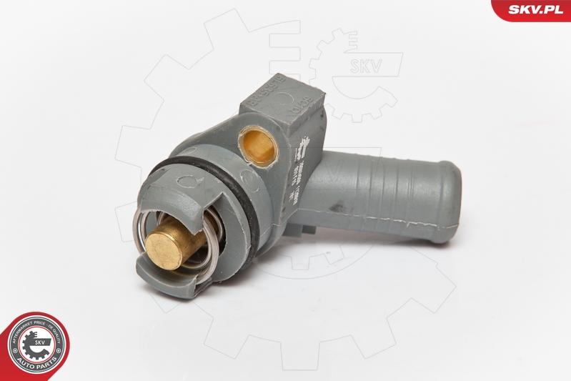 SKV 20SKV006