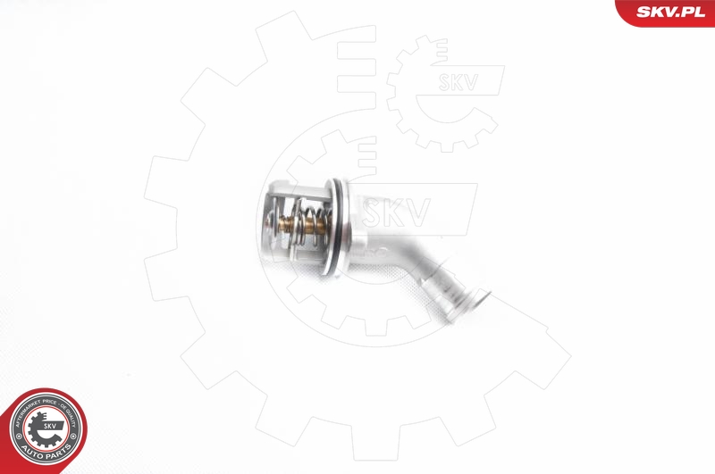 SKV 20SKV041