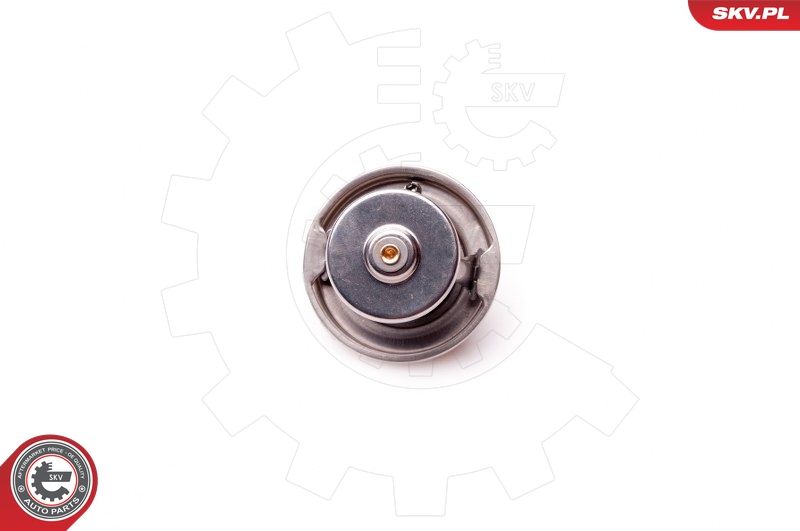 SKV 20SKV048