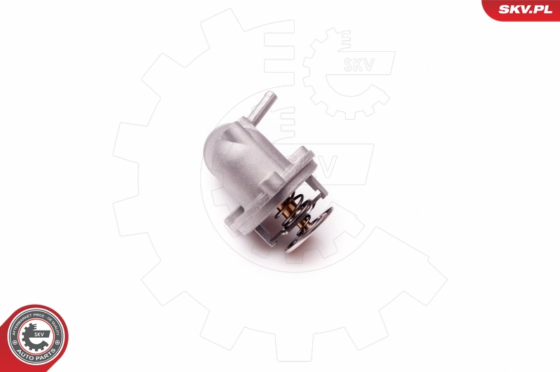 SKV 20SKV049