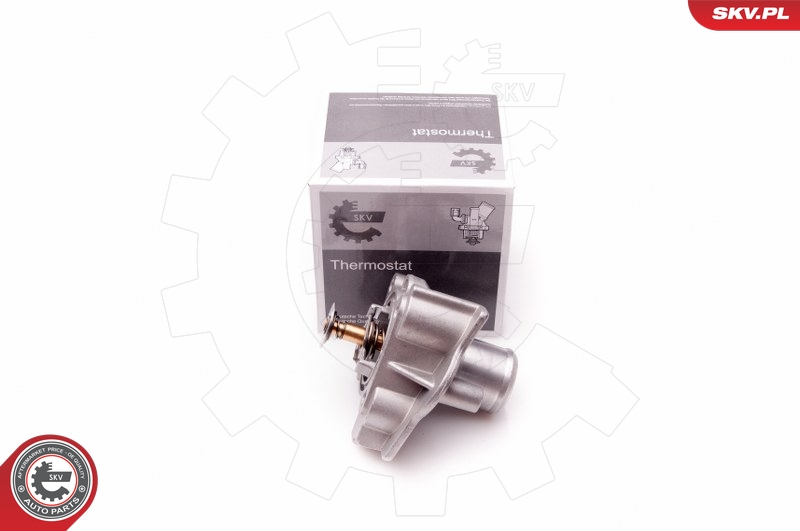 SKV 20SKV069