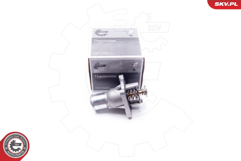 SKV 20SKV081