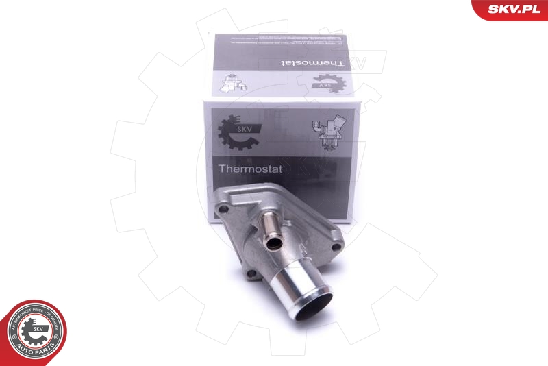 SKV 20SKV173