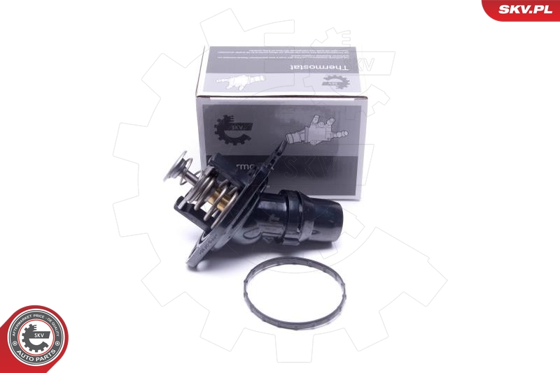 SKV 20SKV195