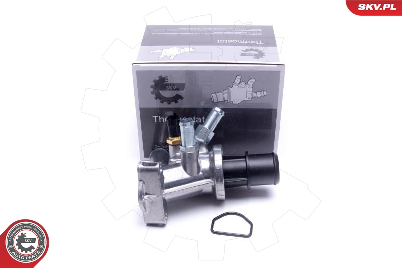 SKV 20SKV197