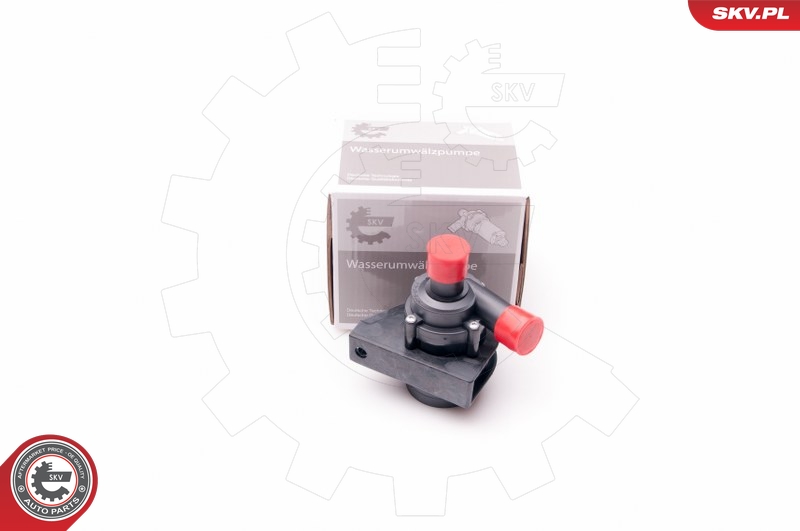 SKV 22SKV013