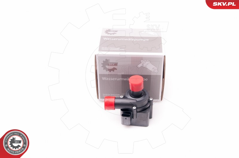 SKV 22SKV019