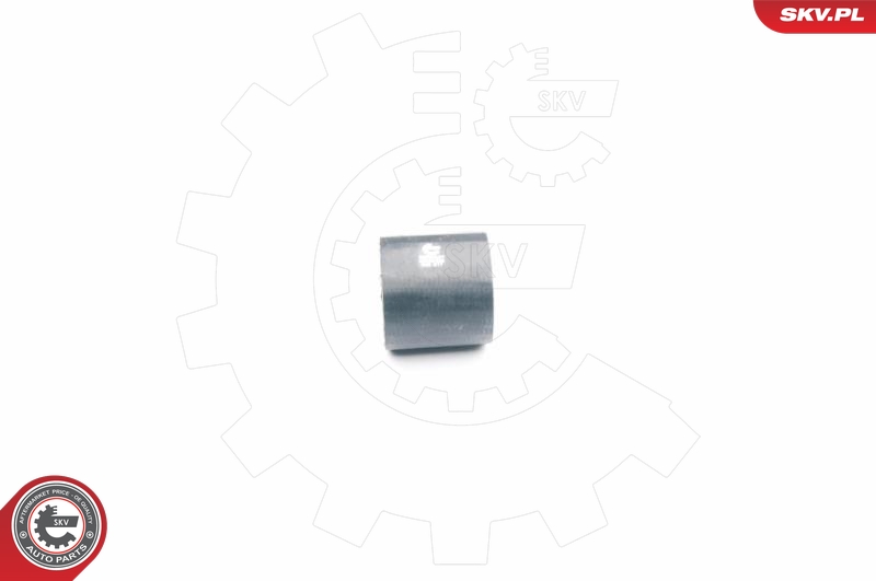 SKV 24SKV036