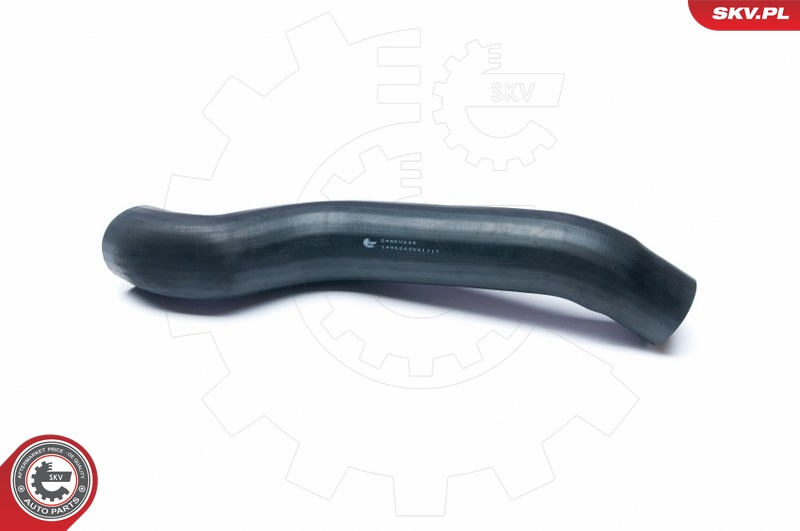 SKV 24SKV209