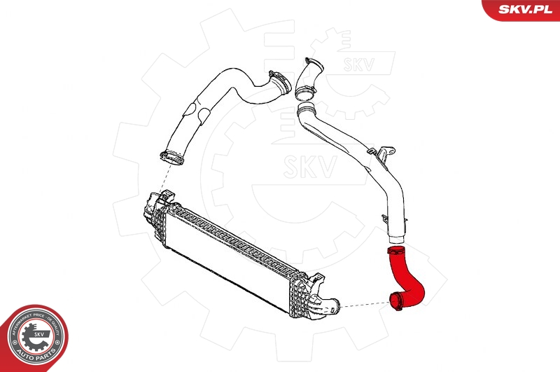 SKV 24SKV876