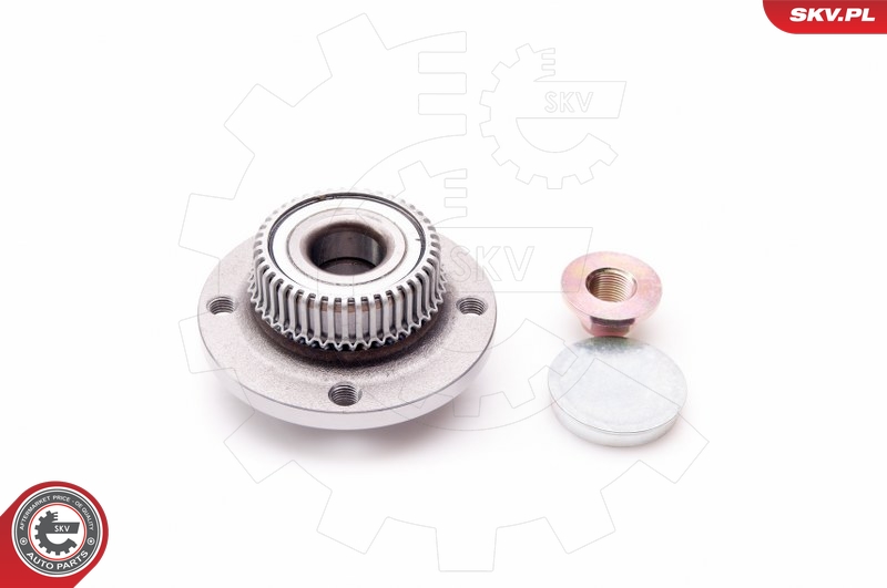 SKV 29SKV012