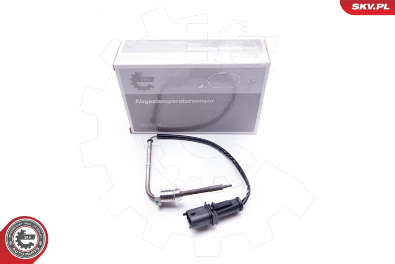 SKV 30SKV079