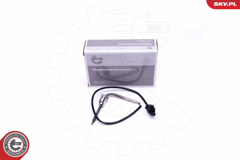 SKV 30SKV291