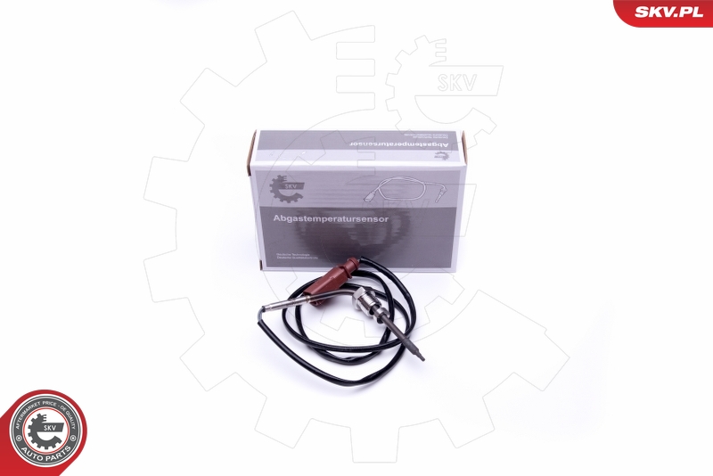 SKV 30SKV301
