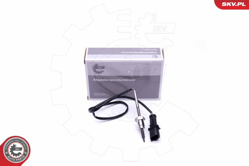 SKV 30SKV307