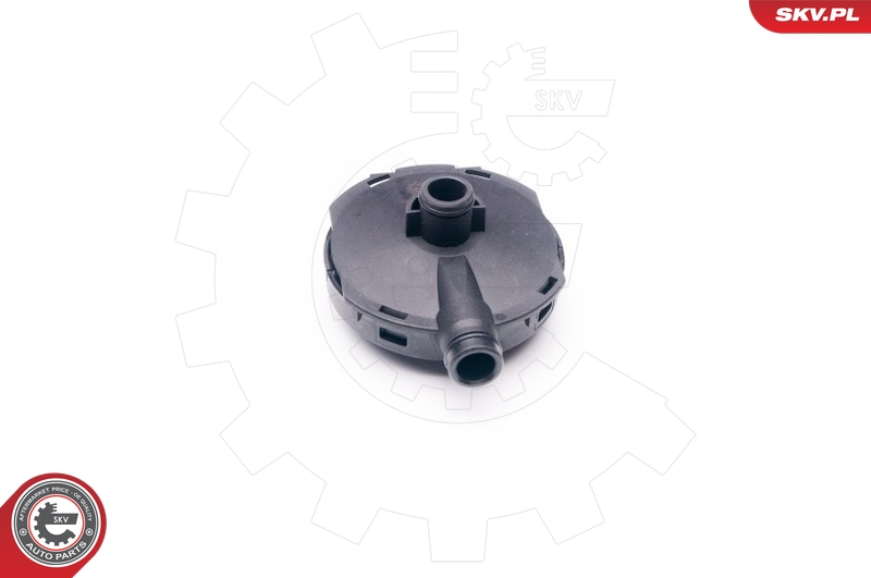 SKV 31SKV021