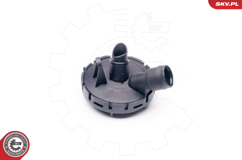 SKV 31SKV022