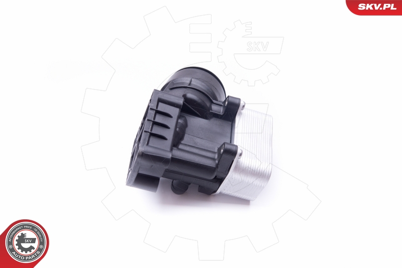 SKV 31SKV054
