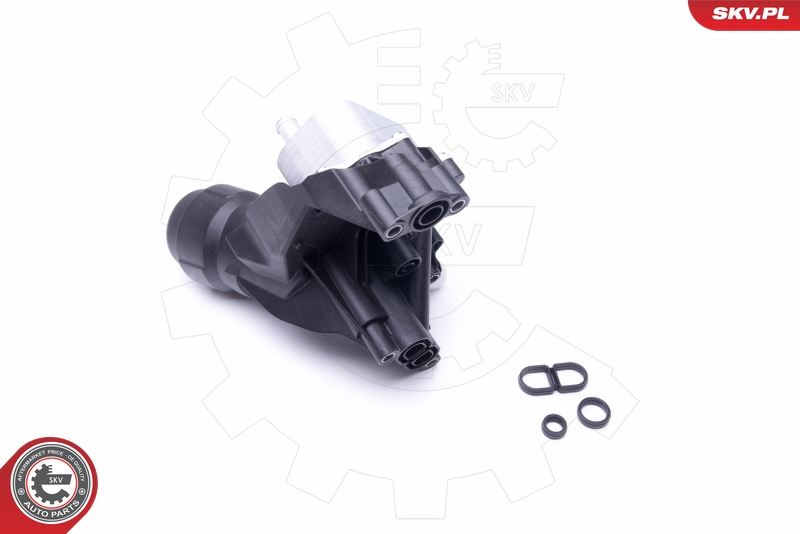 SKV 31SKV166