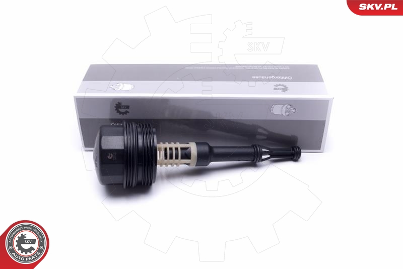 SKV 31SKV181