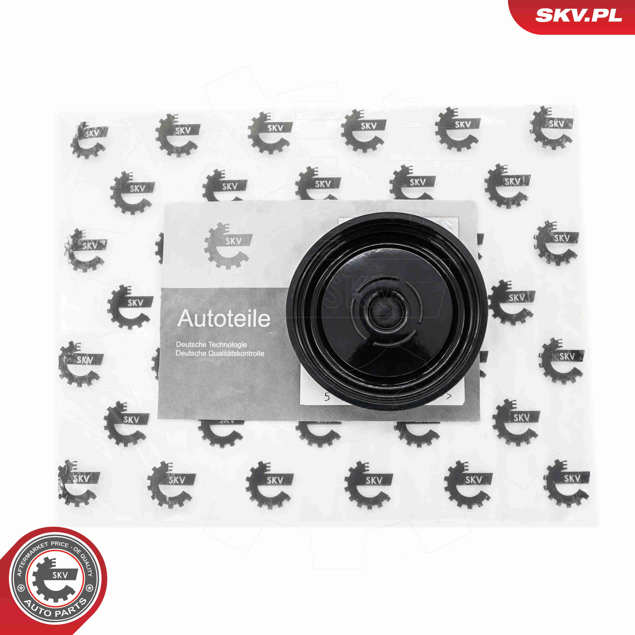 SKV 31SKV191