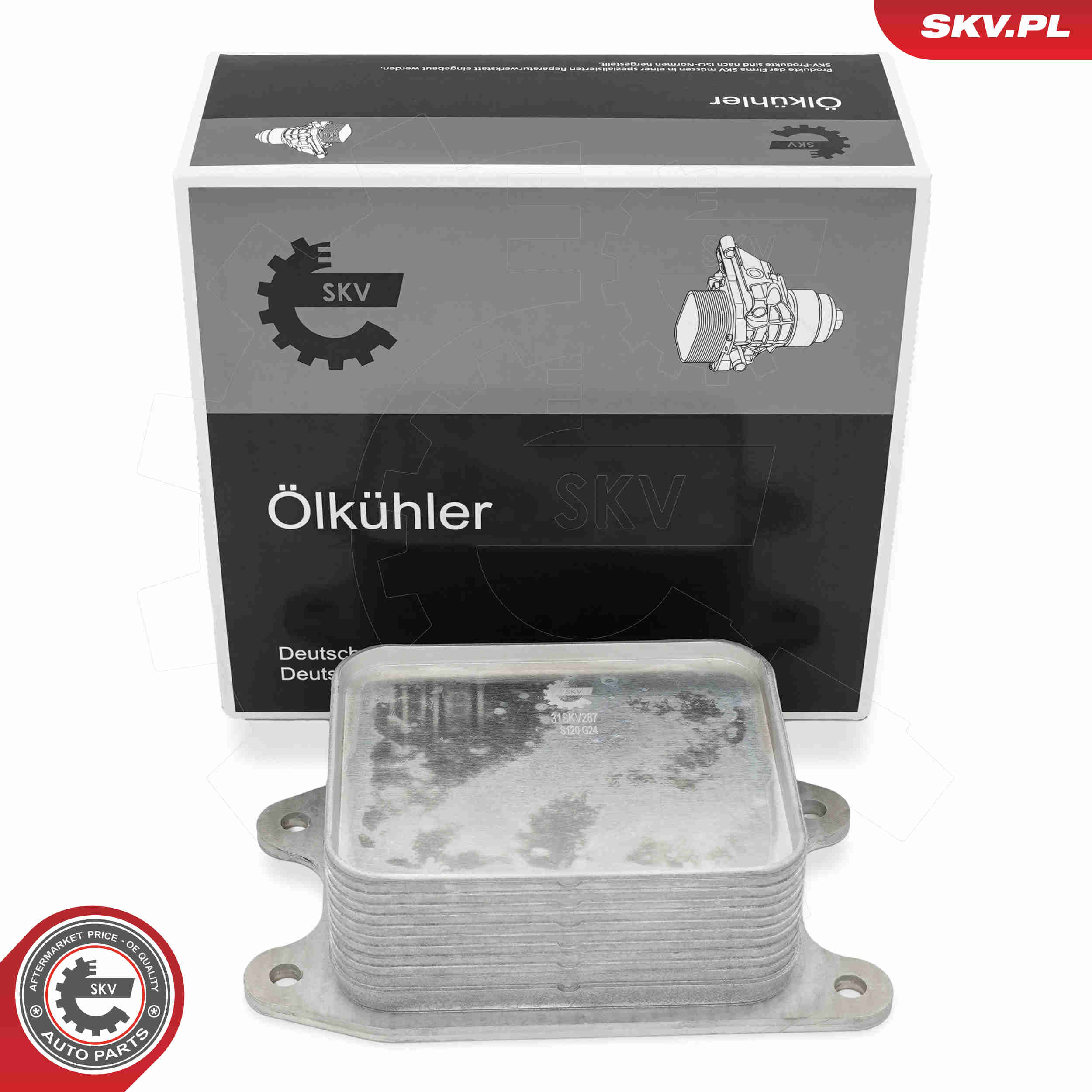 SKV 31SKV287