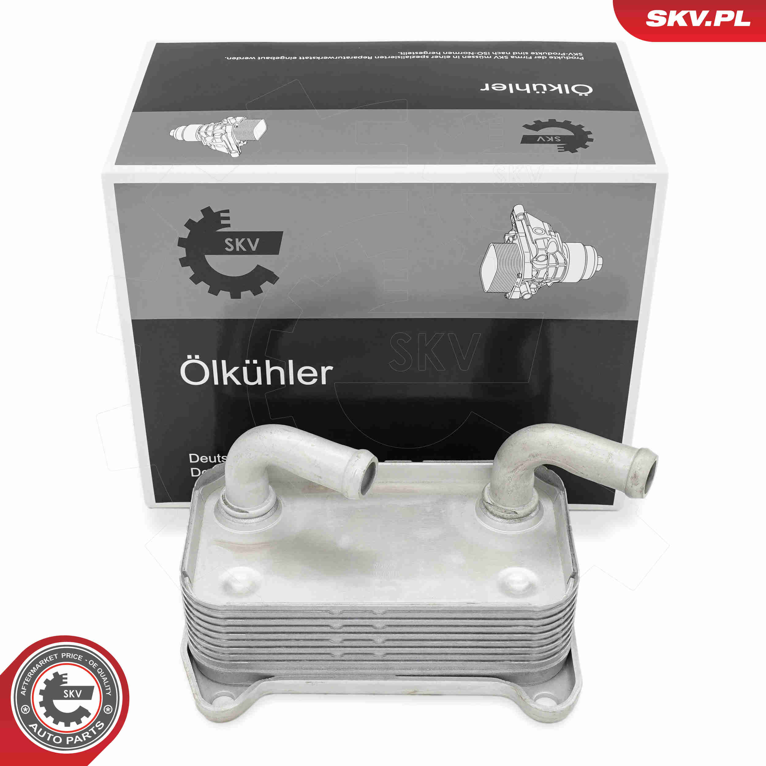 SKV 31SKV301